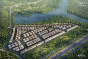 sycamore bình dương