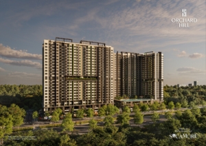 Phân khu Orchard Hill tổng Dự án Sycamore